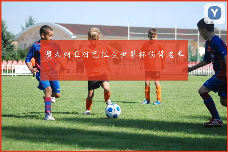 澳大利亚对巴拉圭世界杯伤停名单