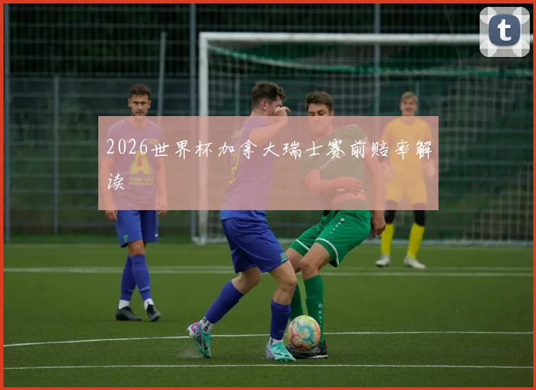 2026世界杯加拿大瑞士赛前赔率解读
