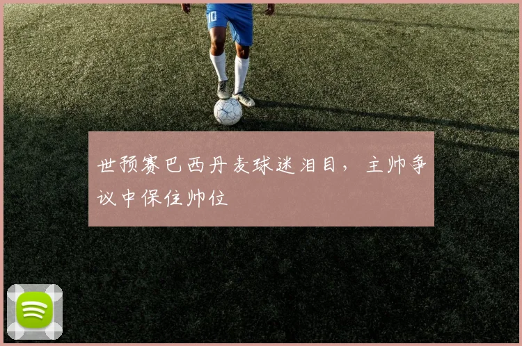 世预赛巴西丹麦球迷泪目，主帅争议中保住帅位