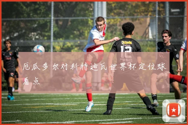厄瓜多尔对科特迪瓦世界杯定位球看点