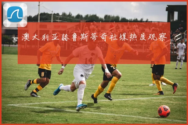 澳大利亚赫鲁斯蒂奇社媒热度观察