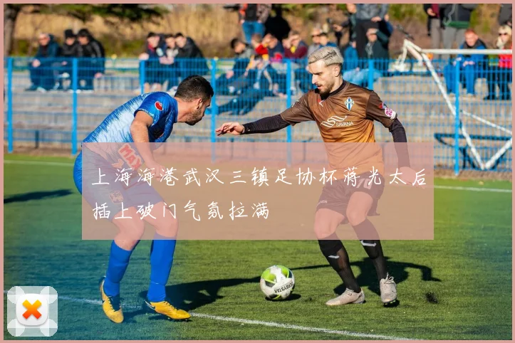 上海海港武汉三镇足协杯蒋光太后插上破门气氛拉满