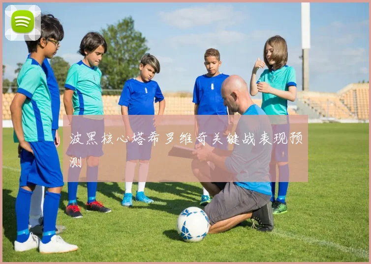 波黑核心塔希罗维奇关键战表现预测