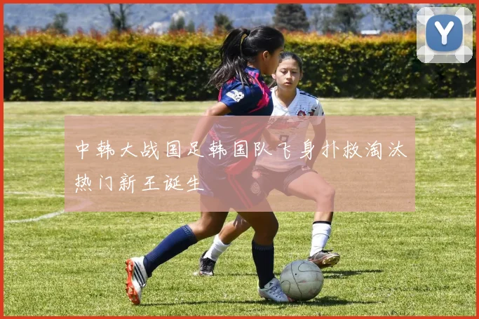 中韩大战国足韩国队飞身扑救淘汰热门新王诞生
