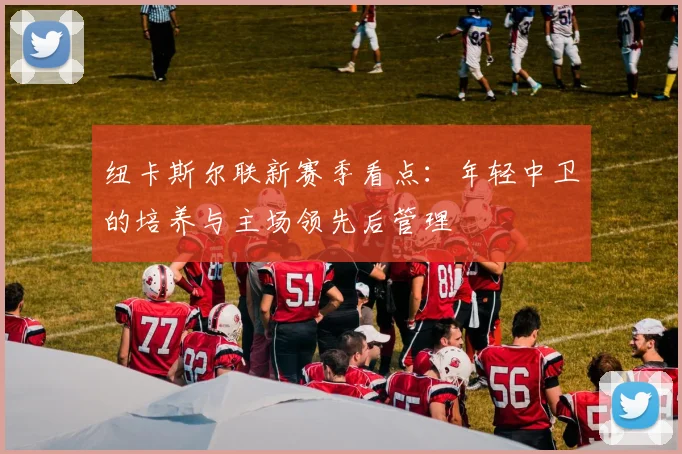 纽卡斯尔联新赛季看点:年轻中卫的培养与主场领先后管理