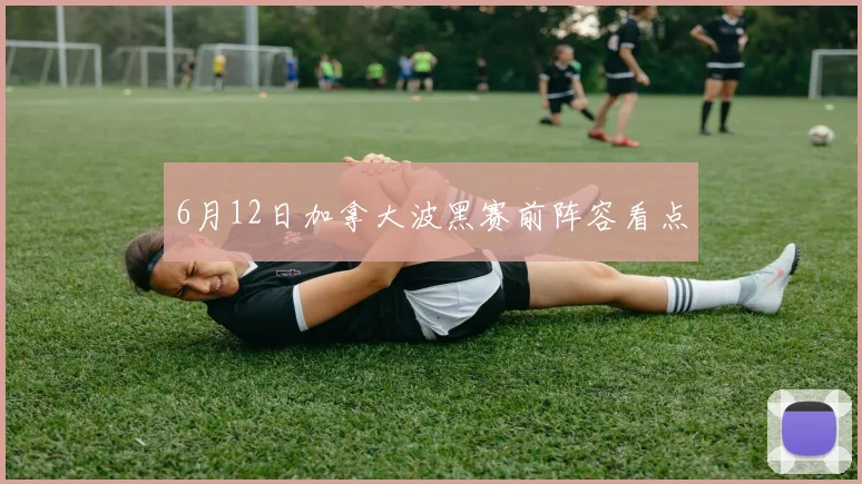 6月12日加拿大波黑赛前阵容看点